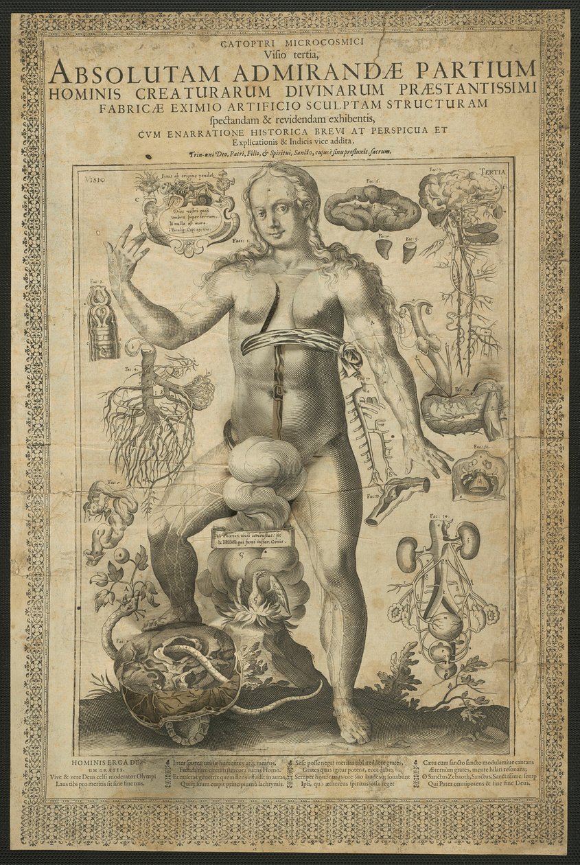Troisième vision, des Miroirs du microcosme - Lucas Kilian