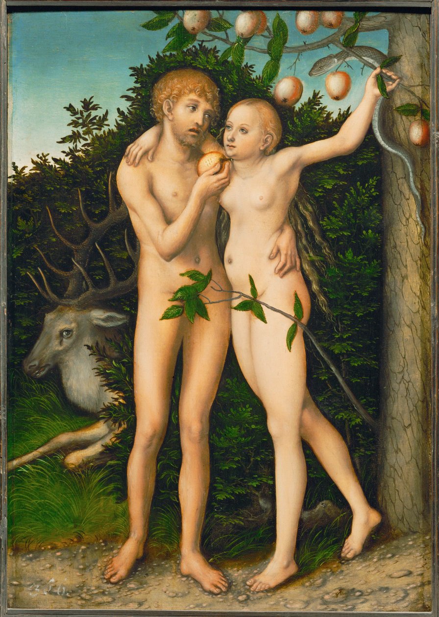 Le cas de Suenden - The Fall ... - Lucas the Elder Cranach