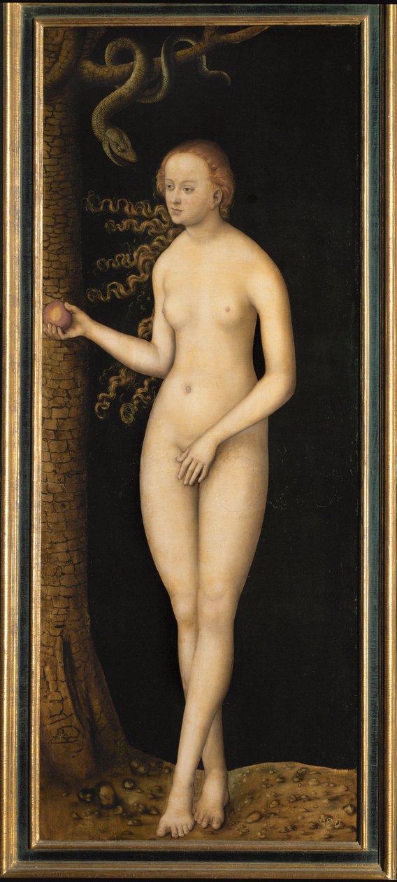 Eve. Face extérieure des ailes d