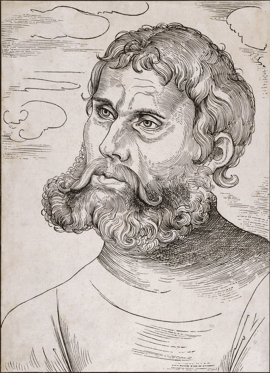 Portrait de Martin Luther en tant que 