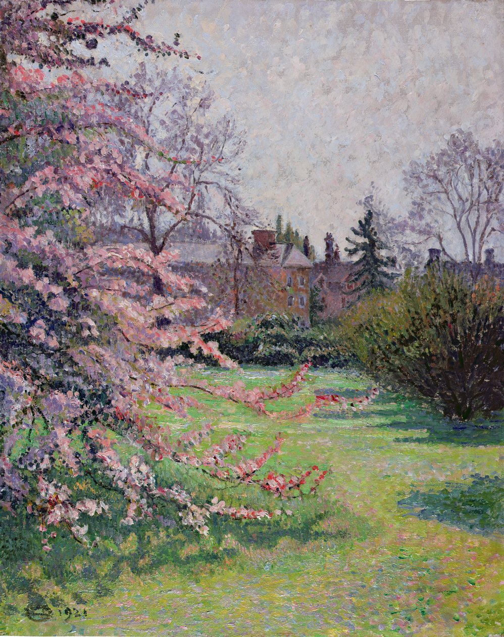 Fleur de Pommier du Japon, Kew, 1921 - Lucien Pissarro