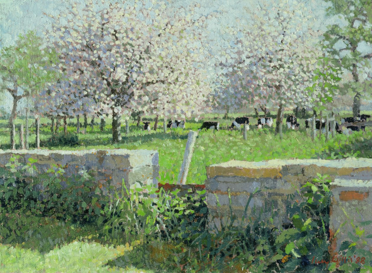 Vaches dans le verger, 1988 - Lucy Willis