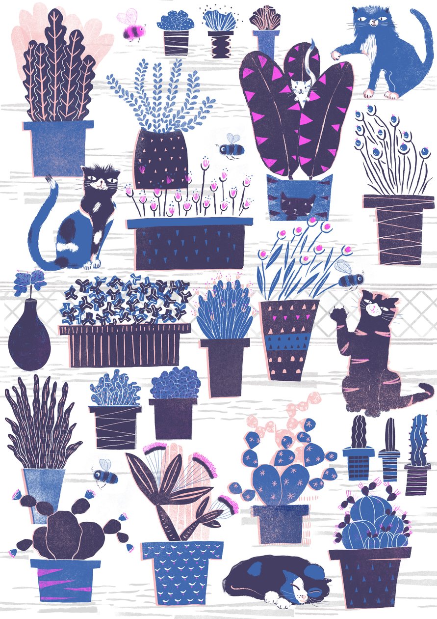 Jardin des chats, 2015 (numérique) - Lucy Banaji