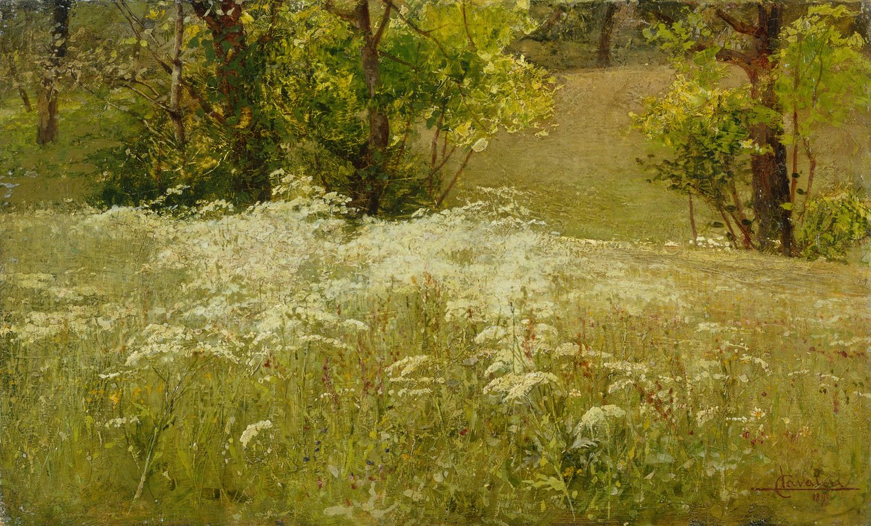 Cerfeuil sauvage dans un pré - Ludovico Cavaleri