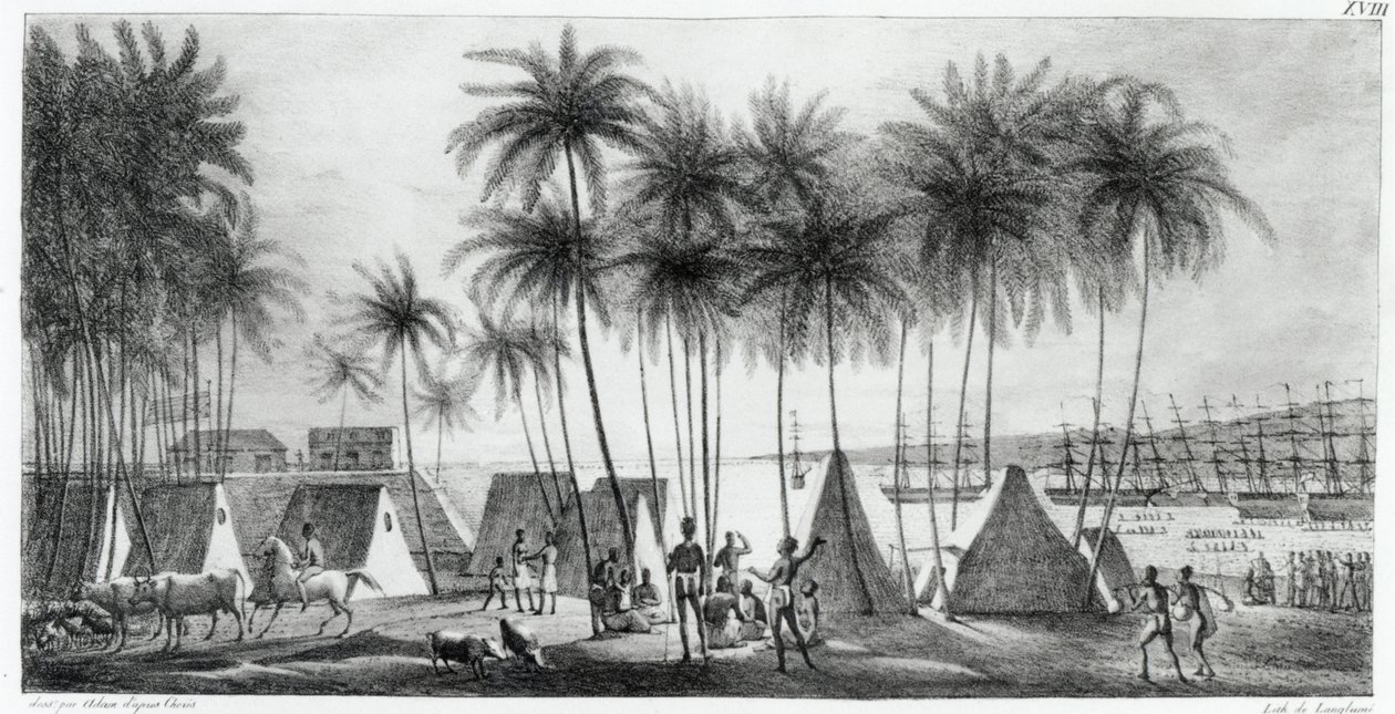 Port de Hanarourou dans les îles Sandwich, de 