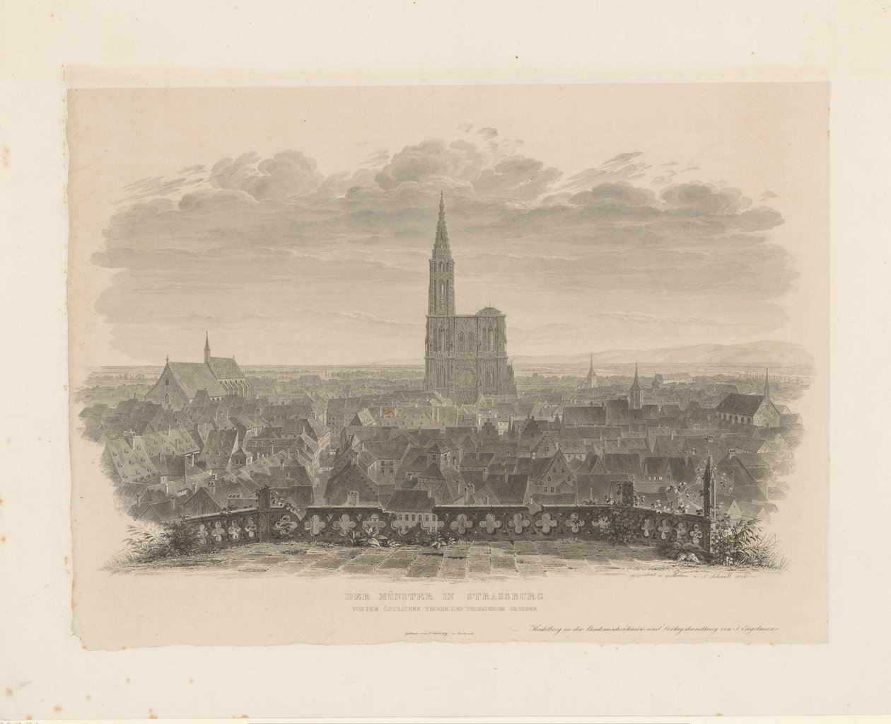 Vue de la cathédrale de Strasbourg - Ludwig Friedrich Schnell