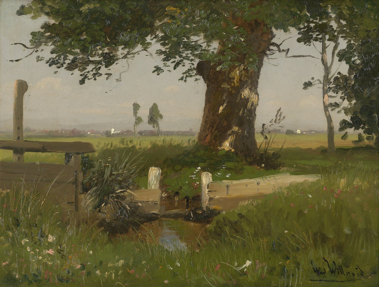 Paysage de prairies estivales en Carinthie - Ludwig Willroider