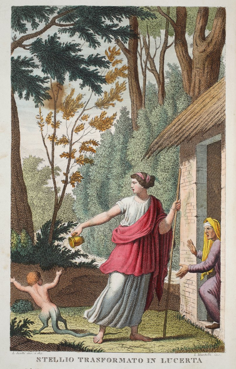 Un garçon en lézard ou Ntellio Transformato en Lucerta, Livre V, illustration des Métamorphoses d