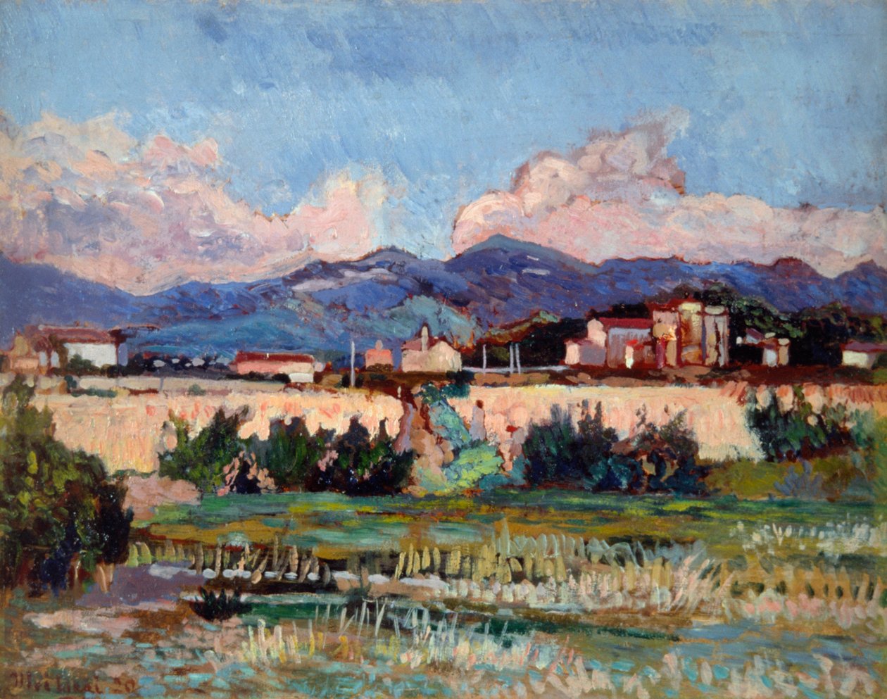 Maisons et jardins à Ardenza, par Ulvi Liegi (1858-1939) - Luigi Levi