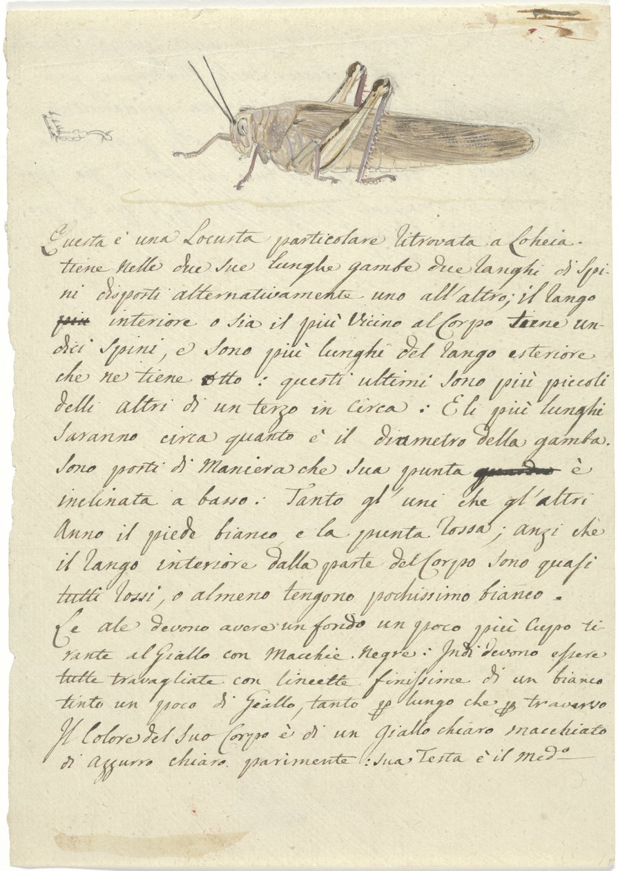 Étude d