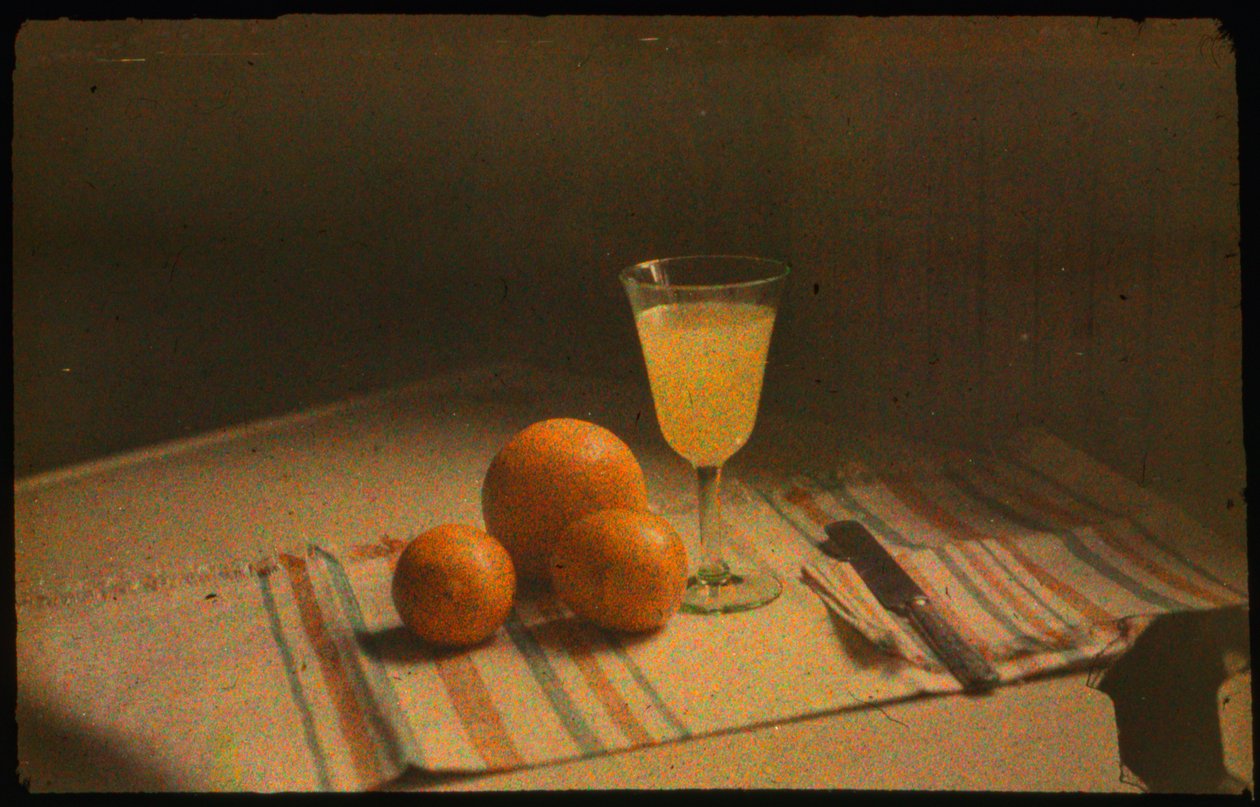Photographie en couleur de nature morte d