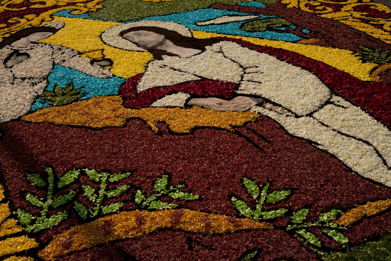Tapis de fleurs de la Semaine Sainte Surco, Lima, Pérou, 2015 - Luis Rosendo.