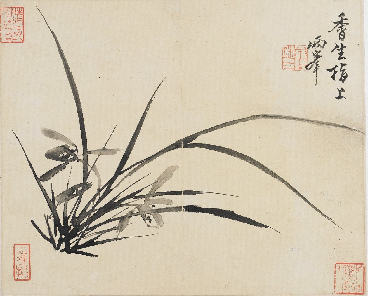 Paysages, Fleurs et Oiseaux : Orchidée, Dynastie Qing, 1780 - Luo Ping