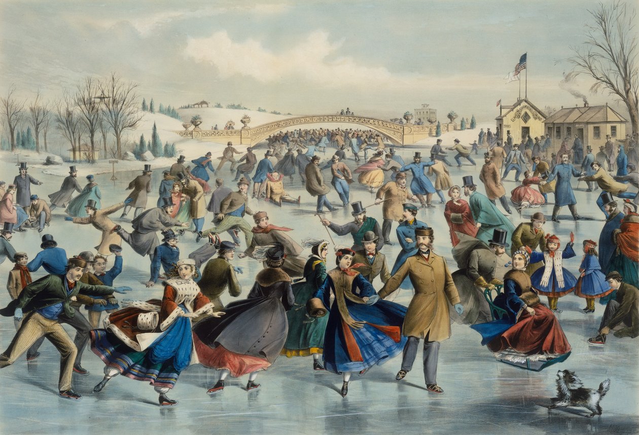 Central Park, hiver - L
