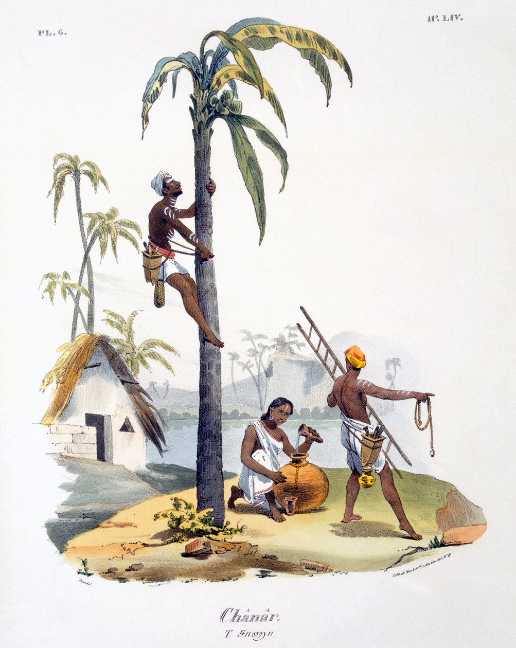 Un homme de la caste Nadar grimpant à un palmier, 1827-35 - M.E. Burnouf