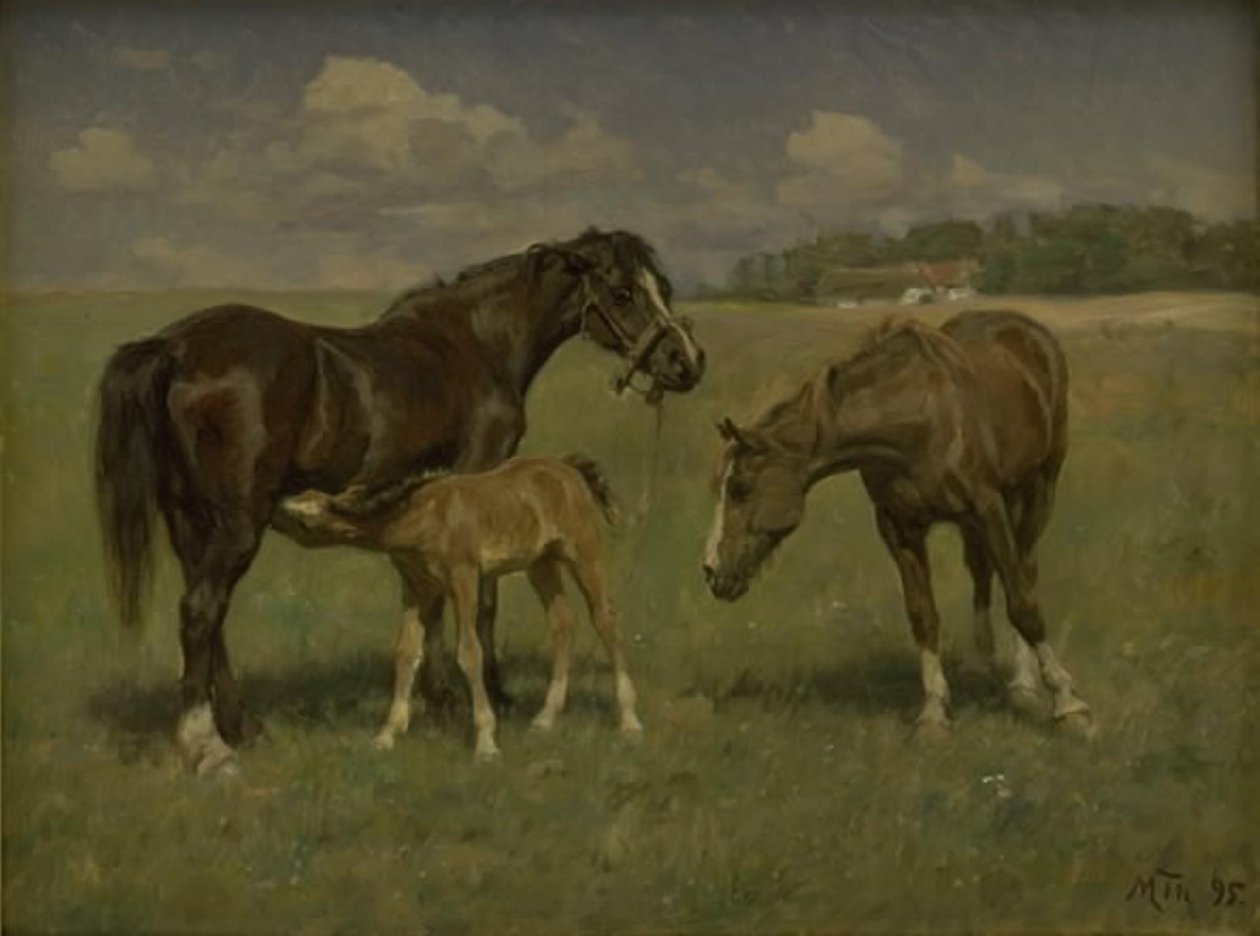 Trois chevaux dans un champ - M. Therkildsen