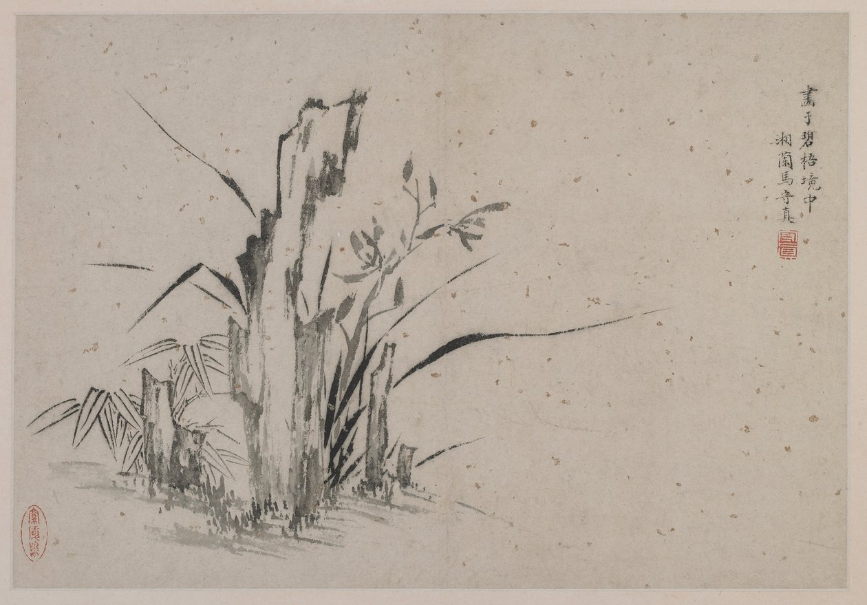 Rochers, orchidées et bambous, dynastie Ming - Ma Shouzhen