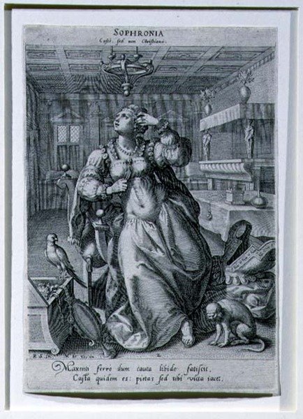 Sophronia, d