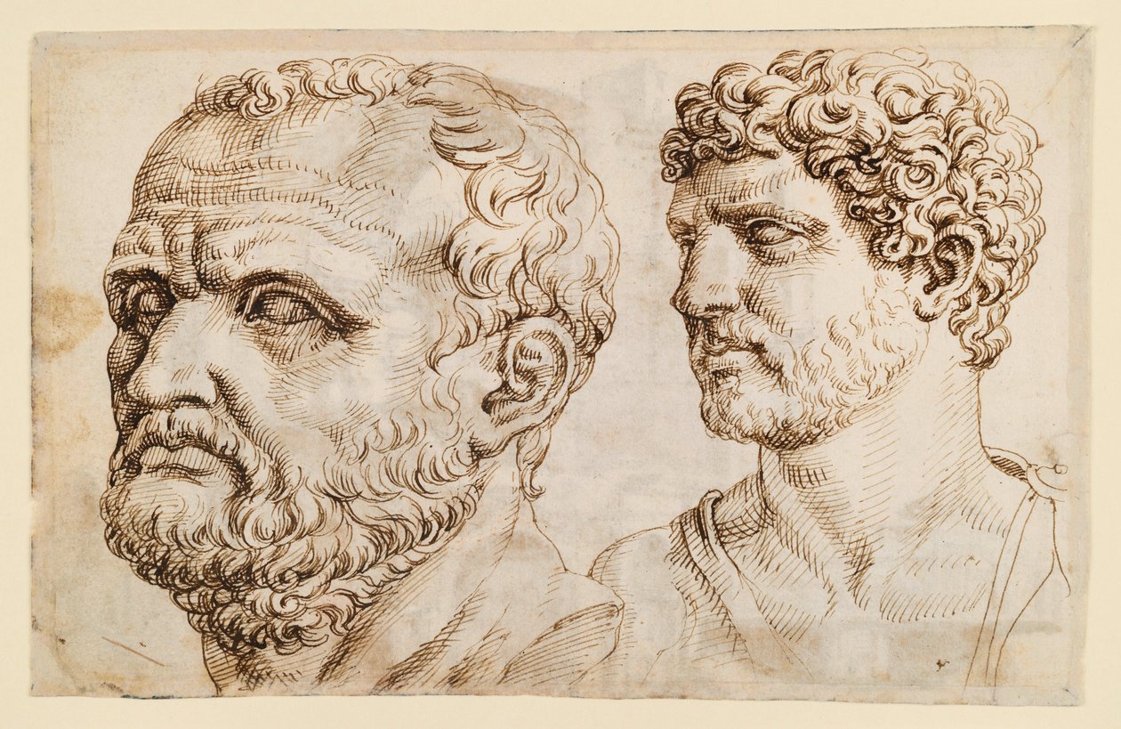 Deux têtes de statues antiques - Maarten van Heemskerck