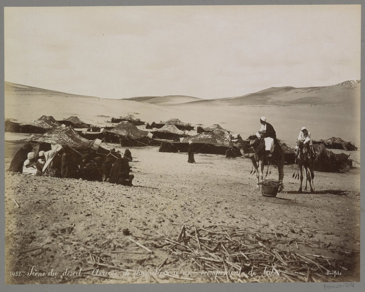 Campement avec tentes et chameaux dans le désert (probablement en Égypte) - Maison Bonfils