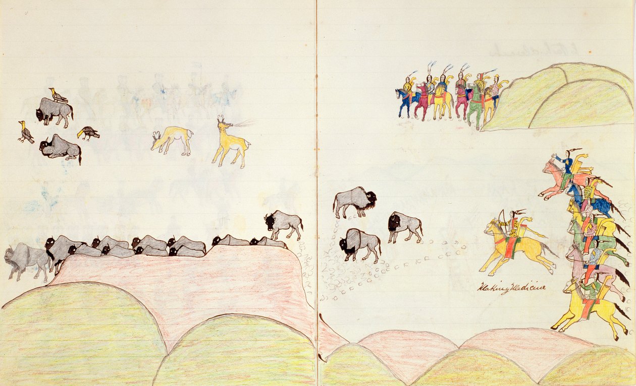 Chasse au bison amérindienne, d