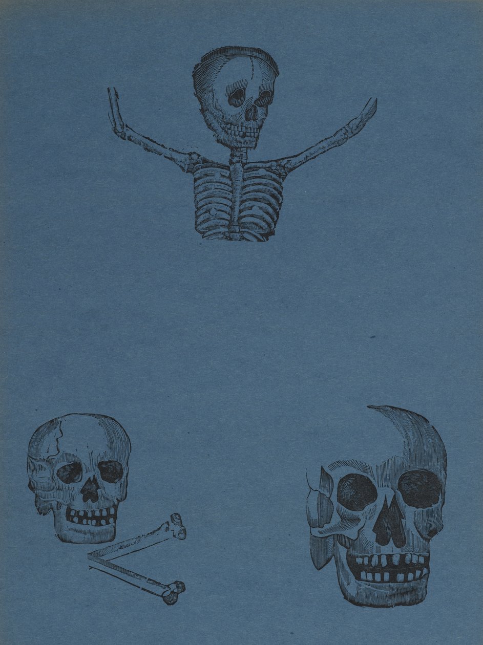 Études de crânes et de squelettes, de 330 Grabados Originales, imprimé par Antonio Vanegas Arroyo (1850-1917), Mexico City, Mexique - Manuel Manilla
