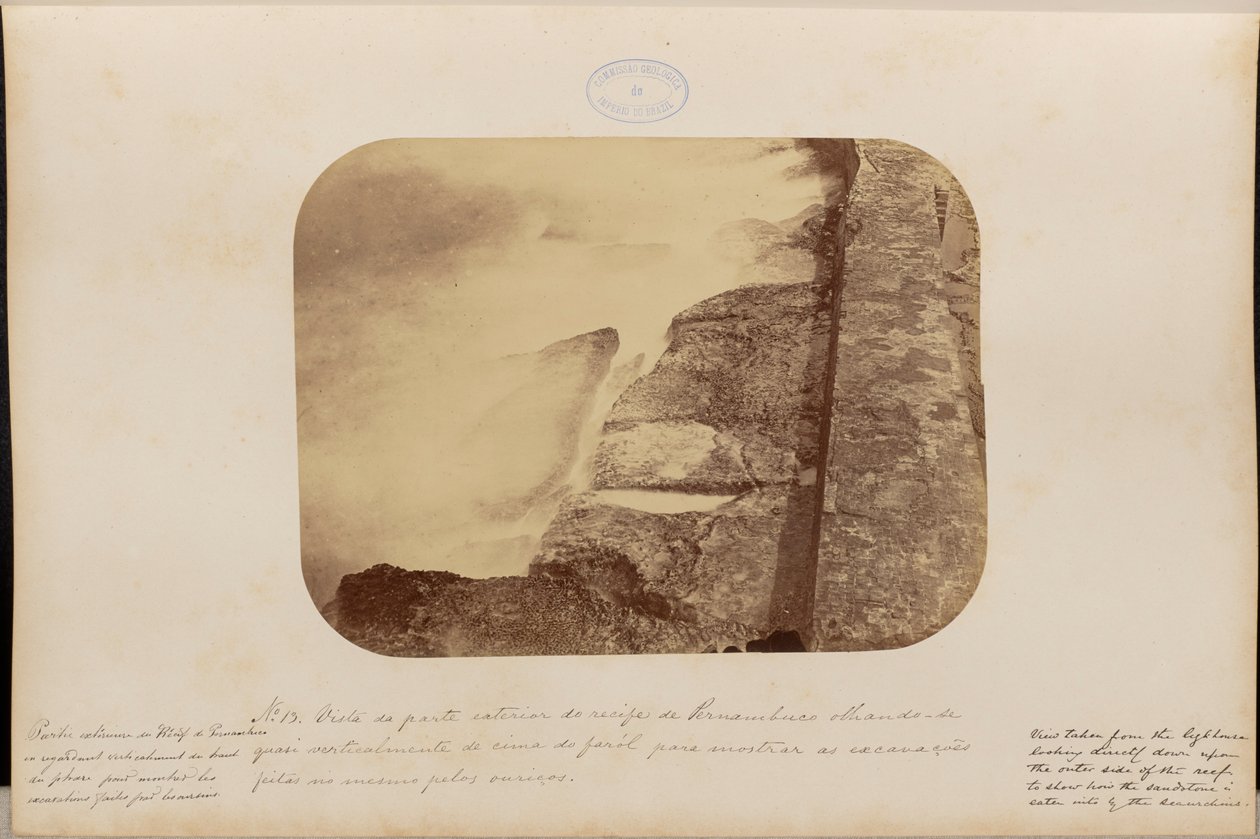 Vue de la partie extérieure du récif de Pernambuco, presque à la verticale depuis le sommet du phare, pour montrer les excavations faites dans la même roche d