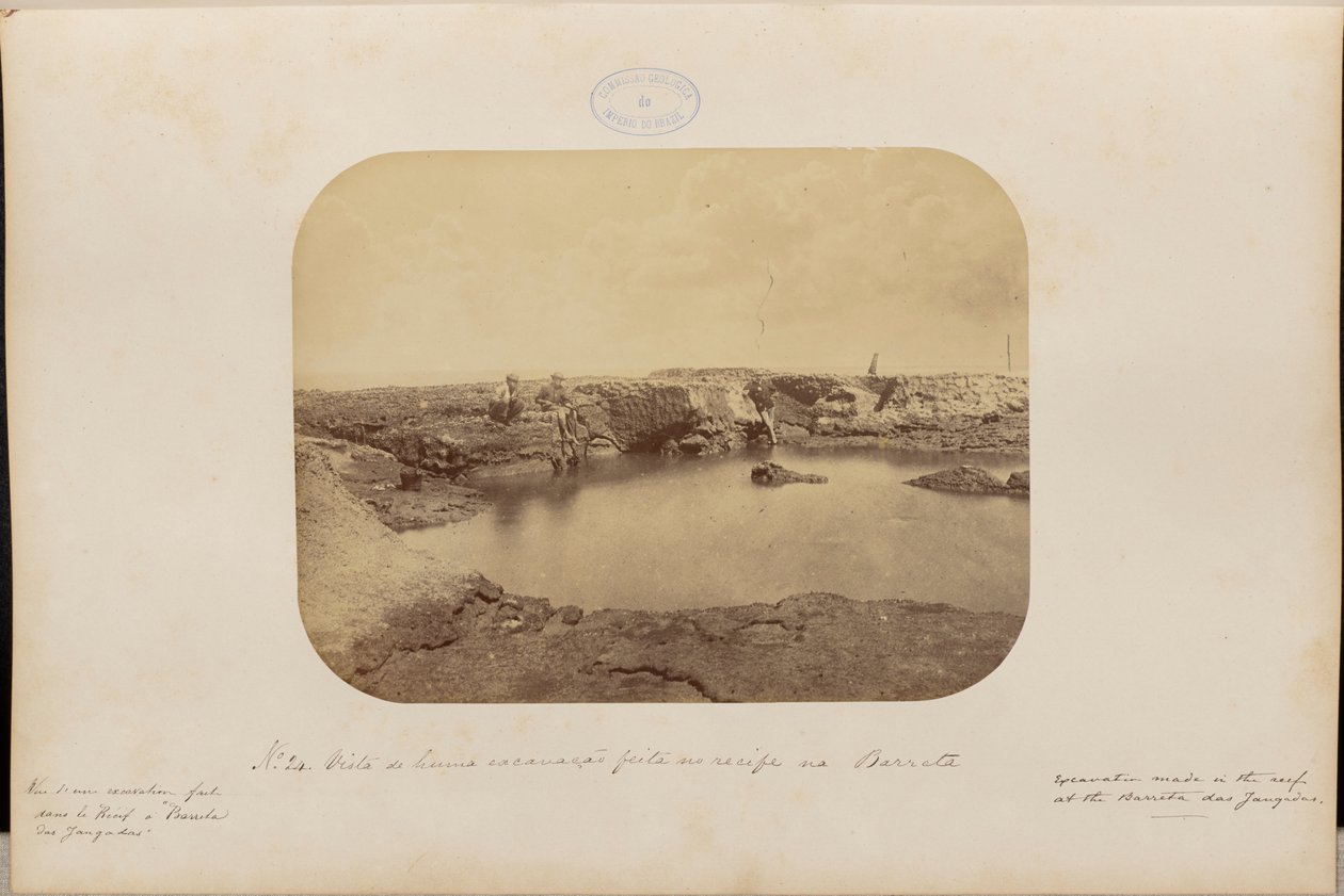 Vue d