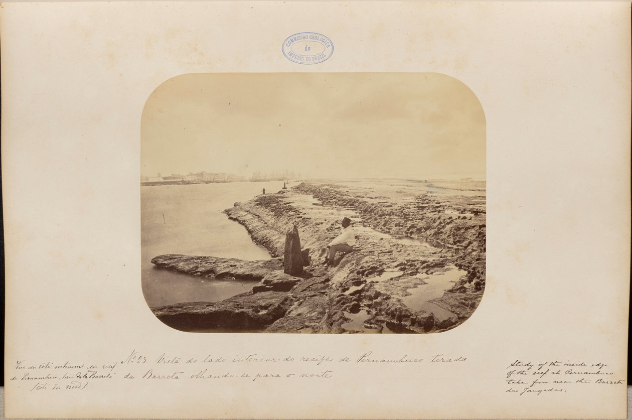 Vue de l