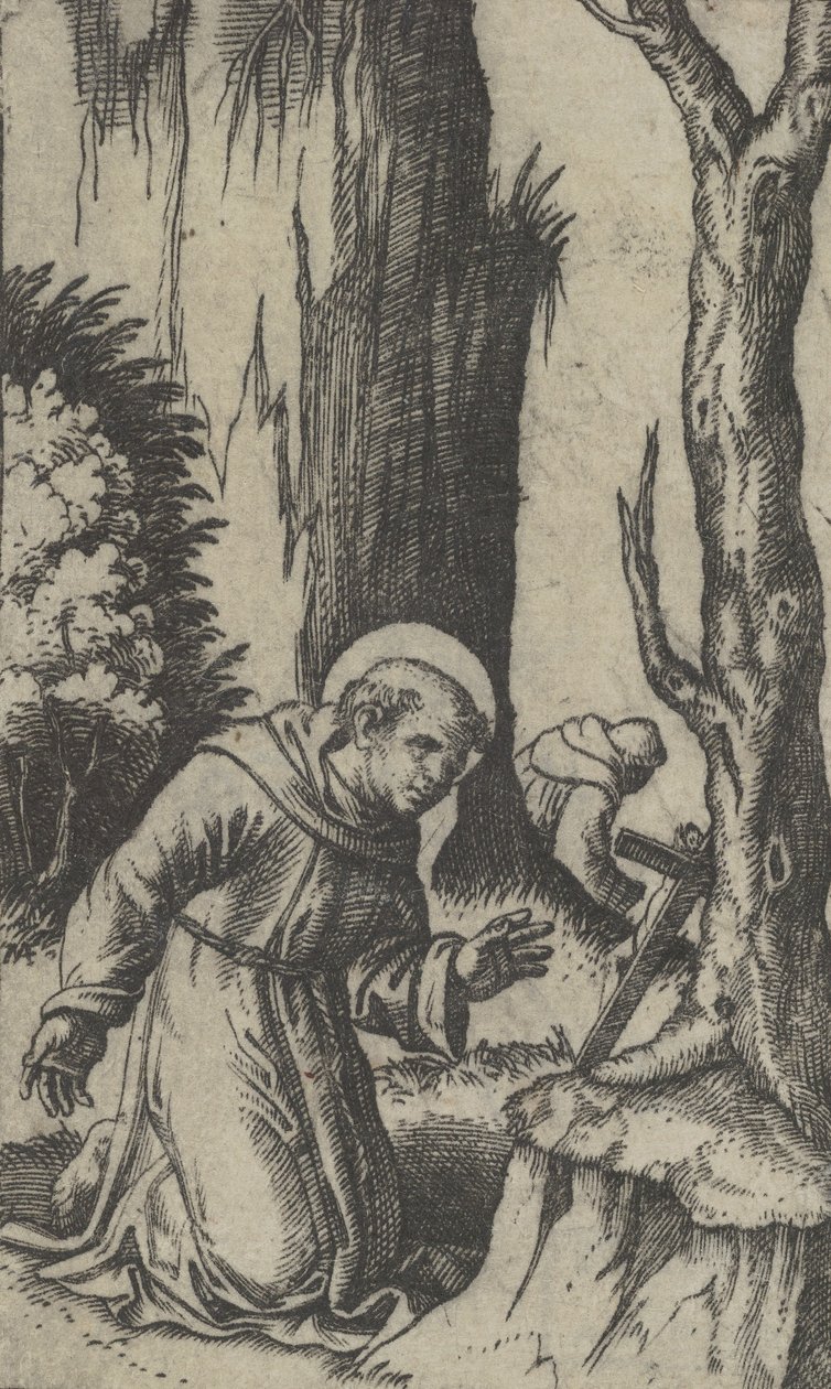 Saint François d