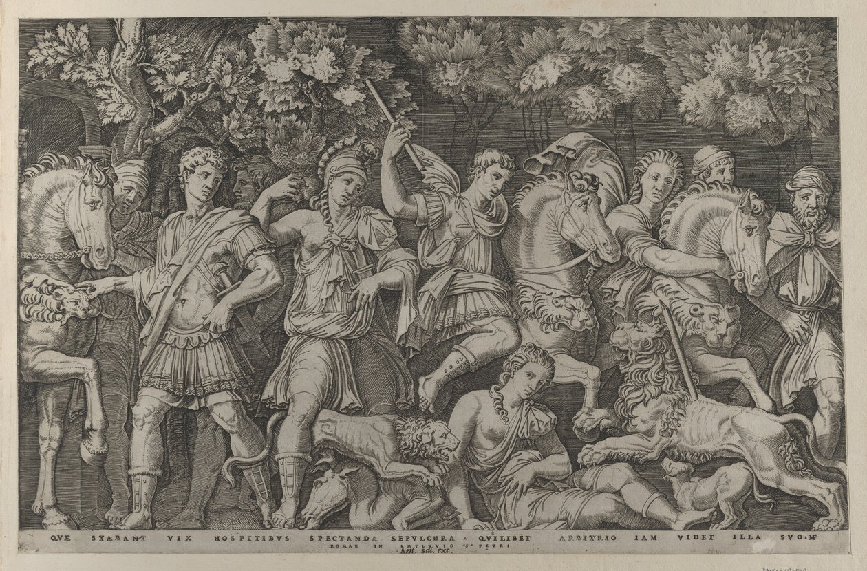 Speculum Romanae Magnificentiae : La Chasse au lion - Marcantonio Raimondi