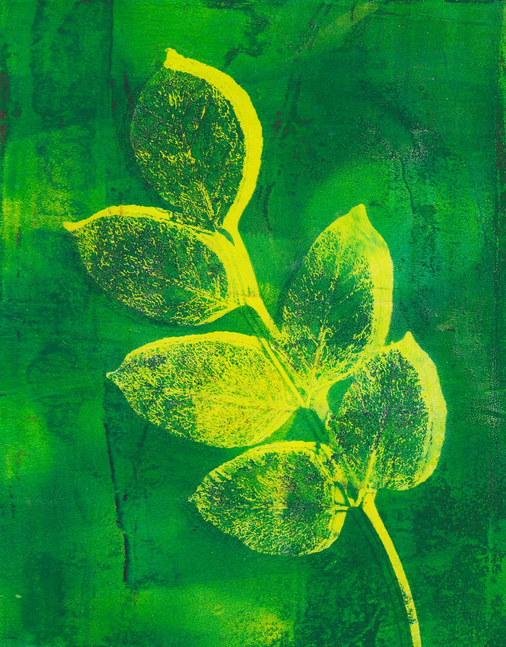 Foglie, 2024 (monotype) - Marco Campedelli