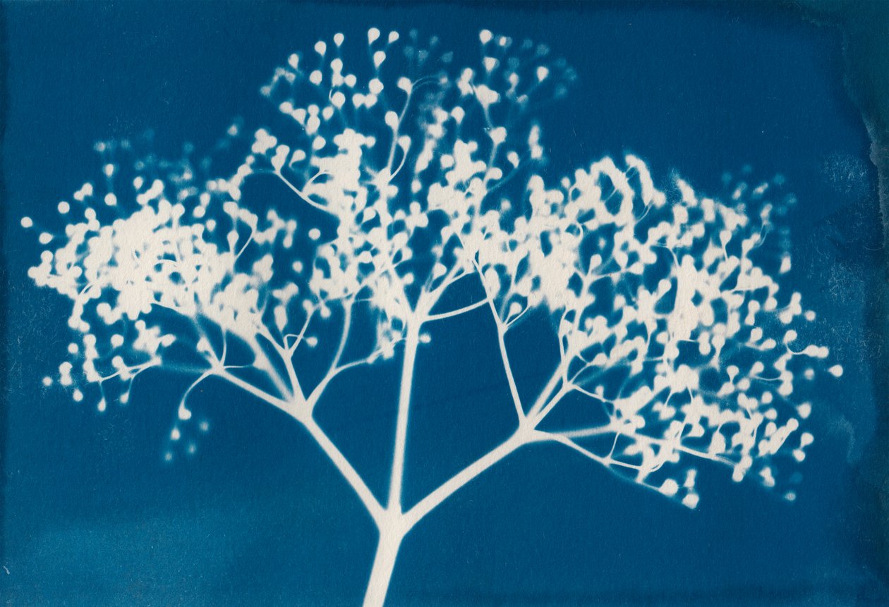 Lettres, 2014 (impression typographique sur papier) - Marco Campedelli