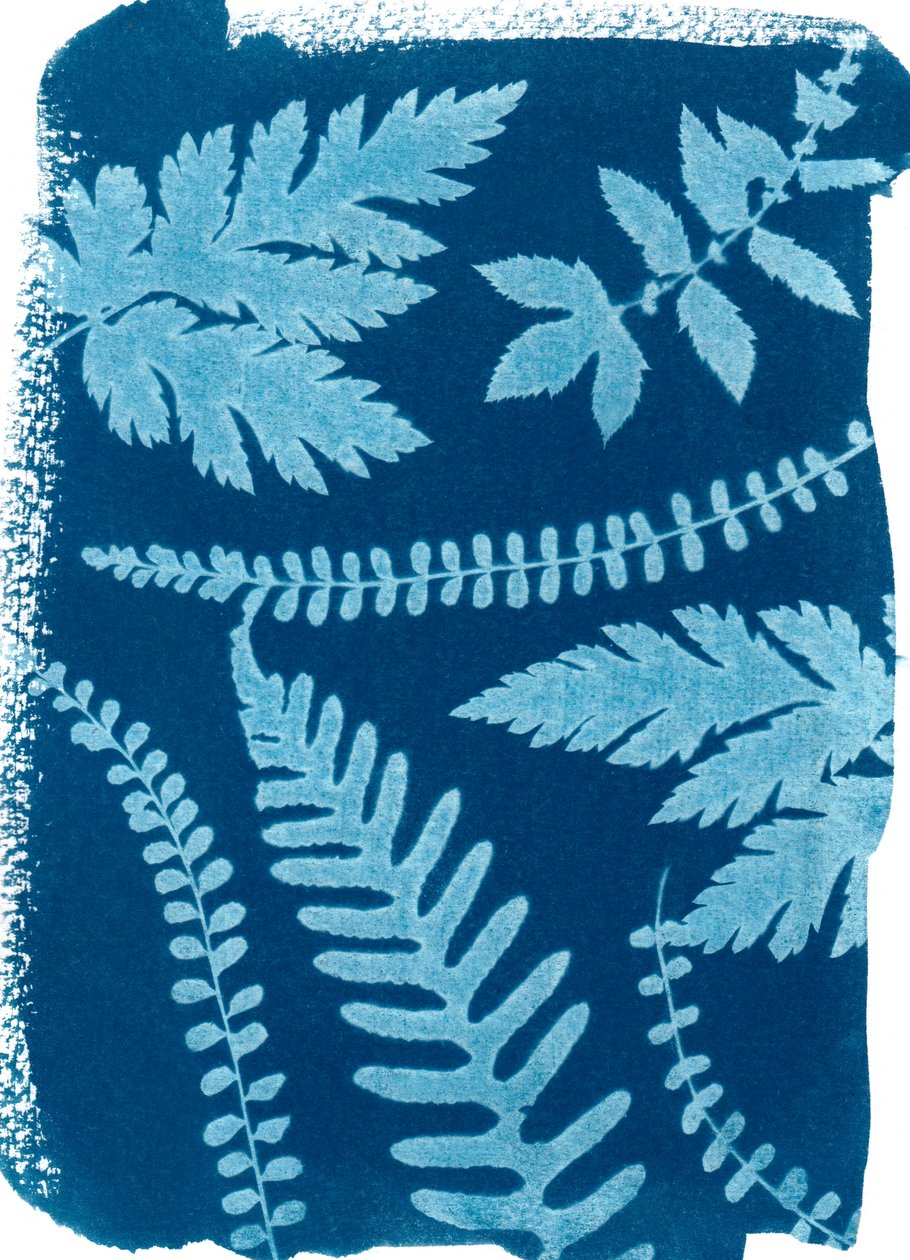 Berg von Marco Campedelli