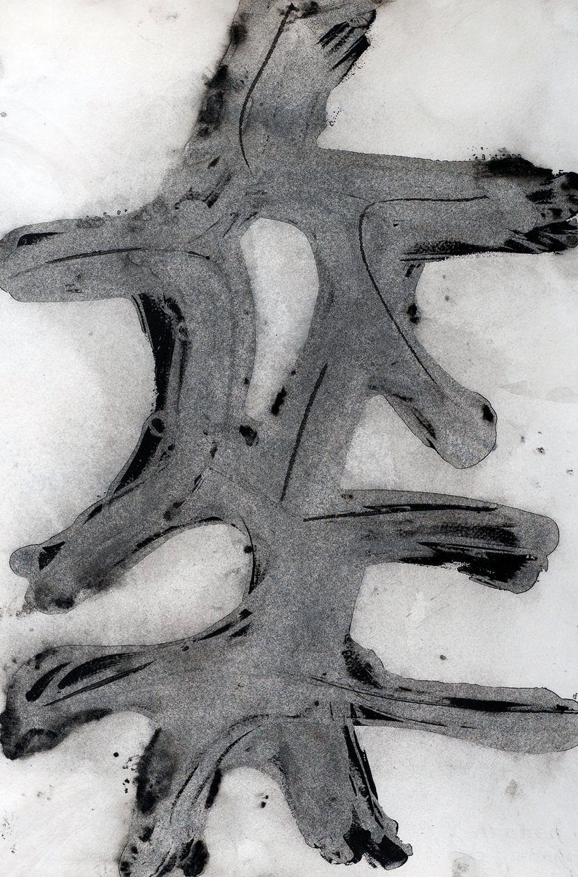 Ramas, 2014 (encre sur papier) - Marco Campedelli