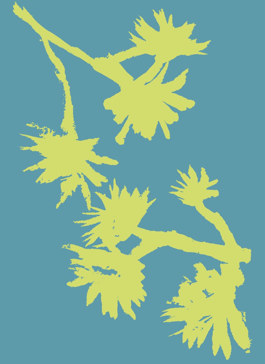 Succulent_2, 2022 (encre sur papier) - Marco Campedelli