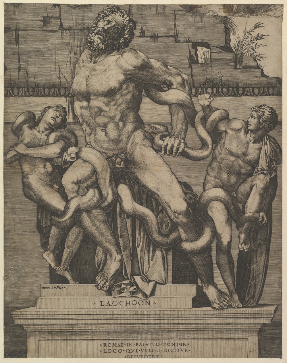 Speculum Romanae Magnificentiae: Laocoon - Marco Dente