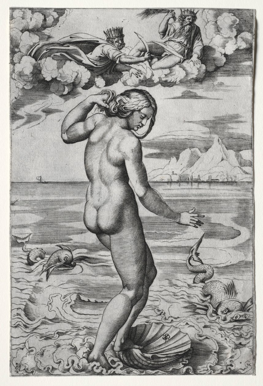 La Naissance de Vénus, vers 1516 - Marco Dente