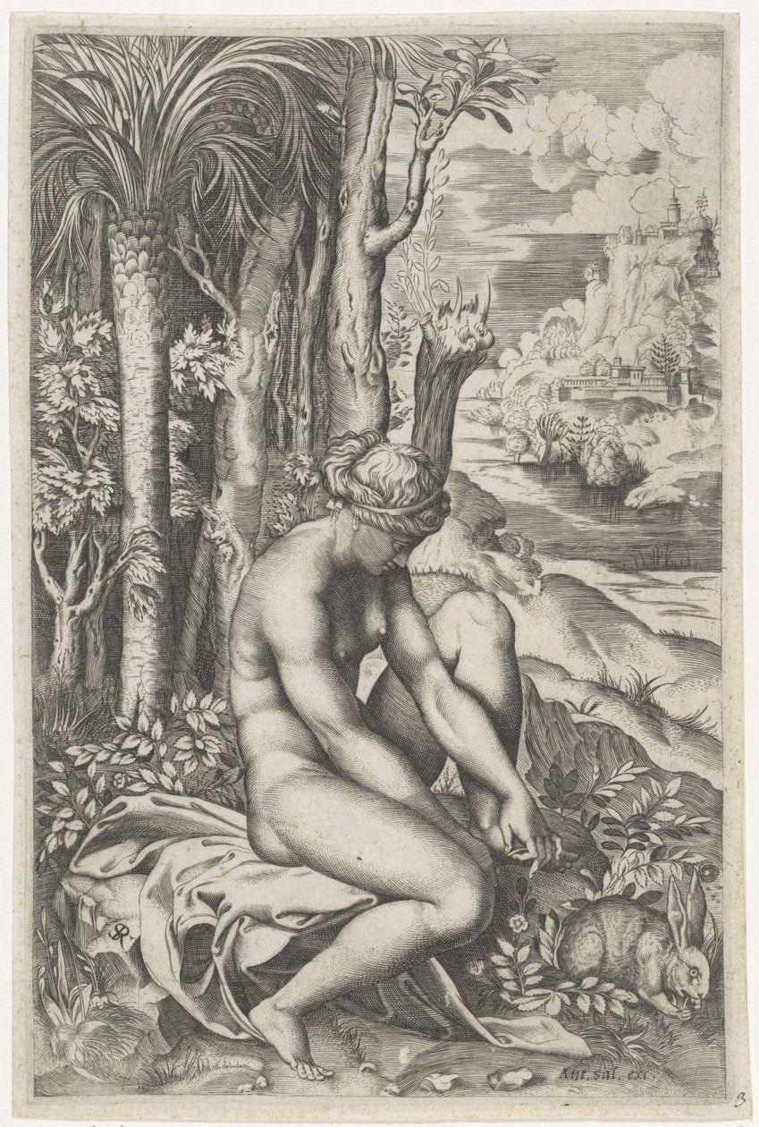 Vénus blessée par l