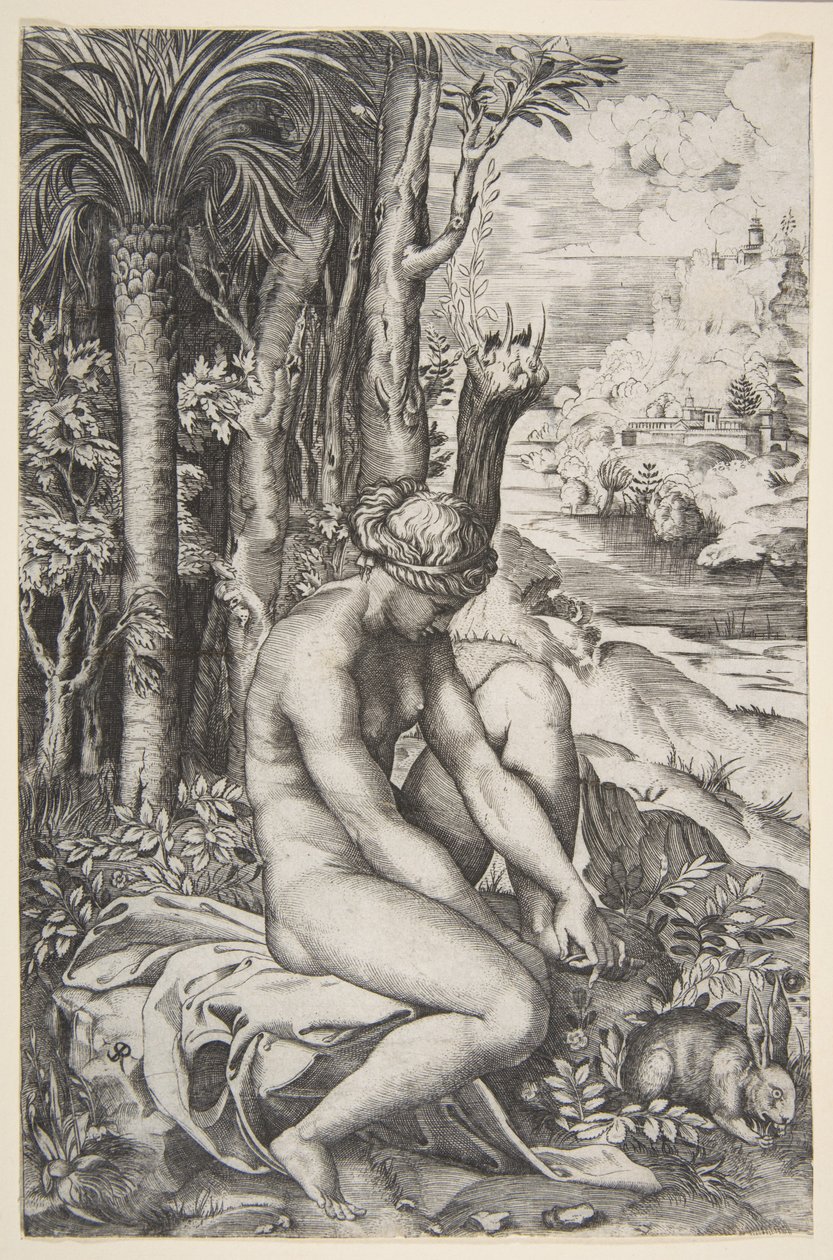 Vénus enlevant une épine de son pied gauche assise sur un tissu à côté des arbres, vers 1515-27 - Marco Dente
