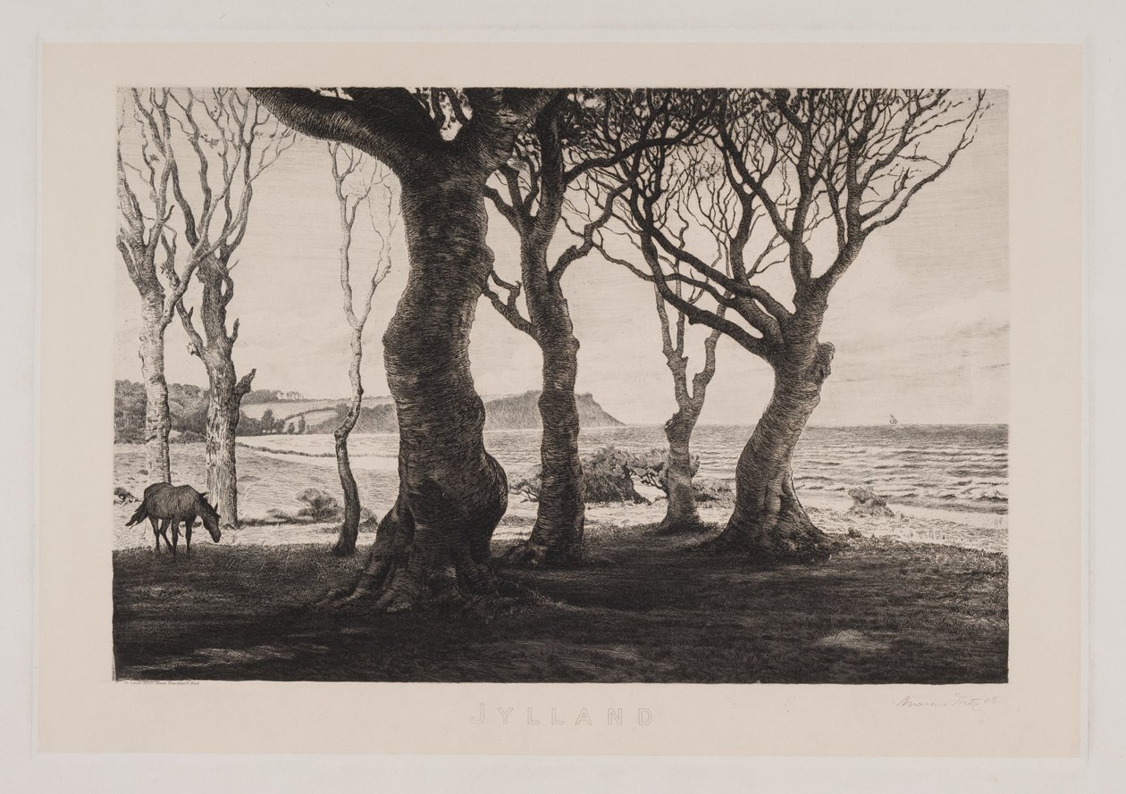 Paysage du Jutland - Marcus Bech Fritz