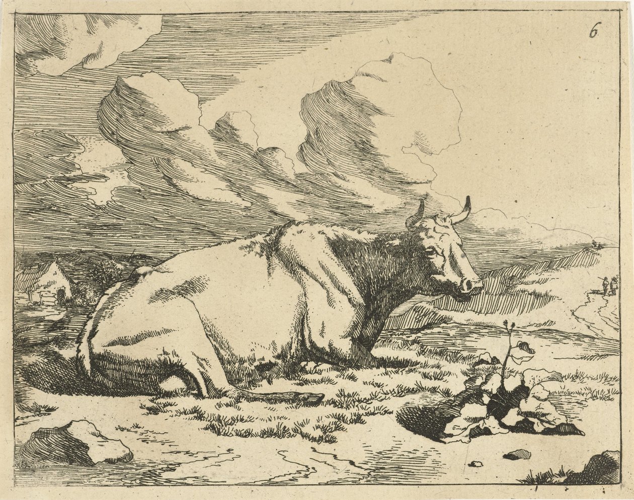 Vache couchée, de profil - Marcus de Bye