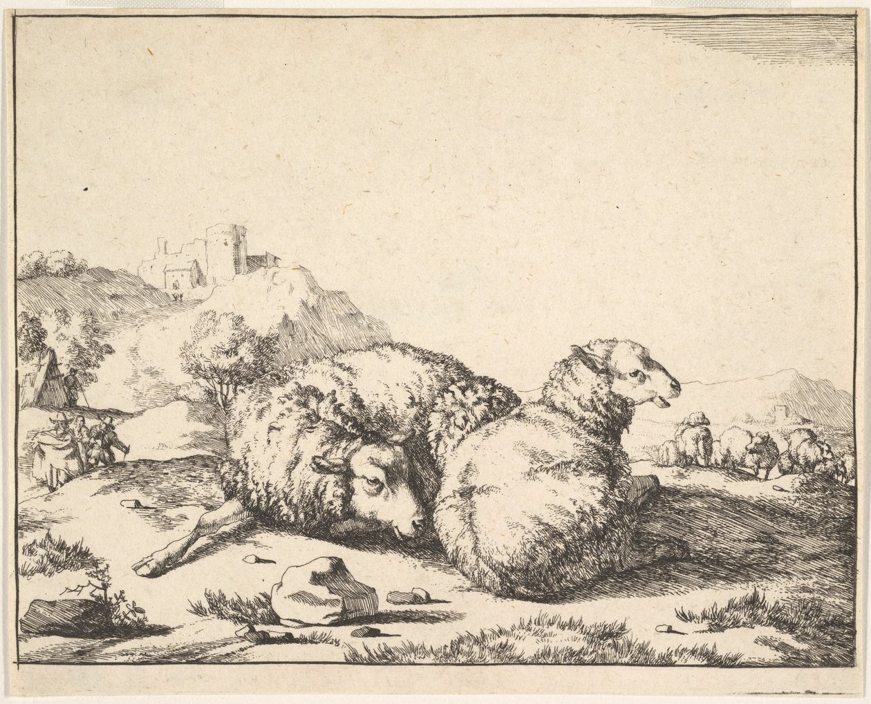 Moutons, d
