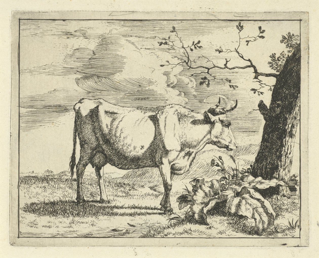 Vache debout près d
