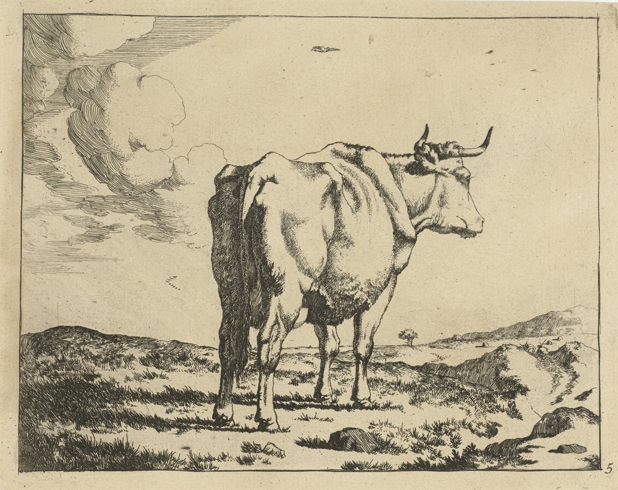Vache debout vue de dos (Ruminants) - Marcus de Bye
