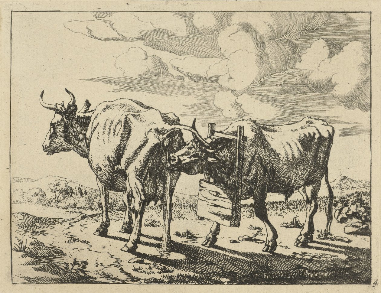 Deux vaches debout
Vaches et moutons (titre de la série) - Marcus de Bye