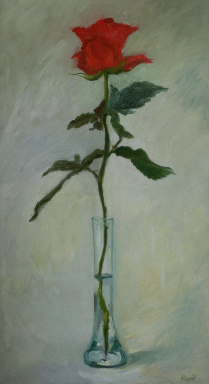 Tout mon amour - Margaret Norris