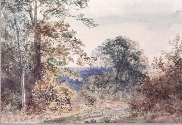Étude de paysage d