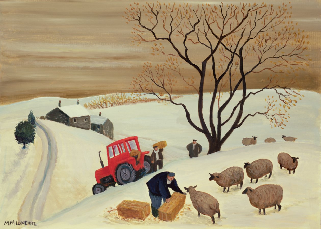 Apporter du foin aux moutons en tracteur - Margaret Loxton