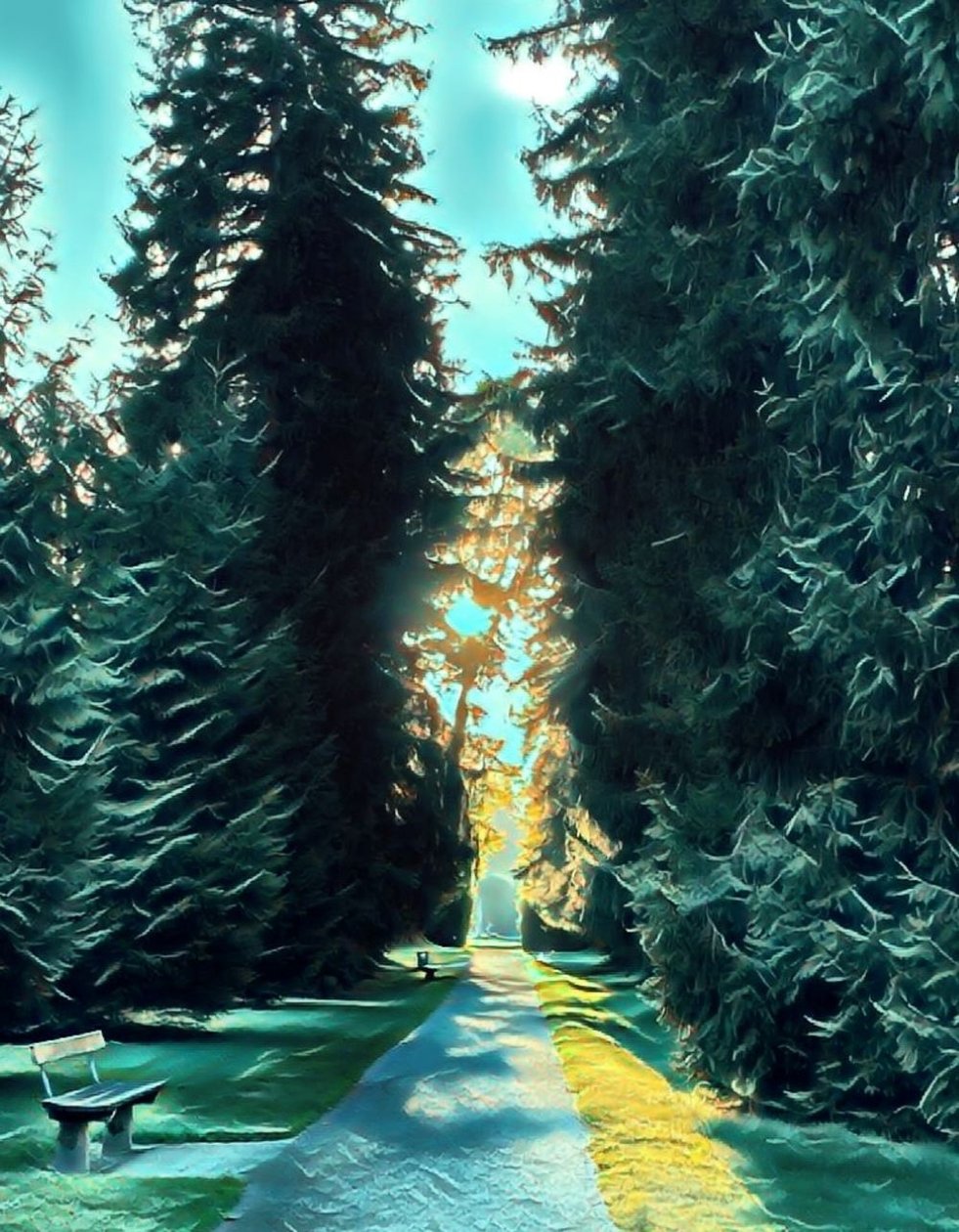 Symphonie de la nature - Margareta Uliarte